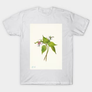 Painted trillium - Botanical Illustration T-Shirt